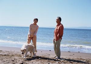 新潟市西蒲区に位置する「いわむろ病院」：自然と温もりに包まれた動物医療の拠点